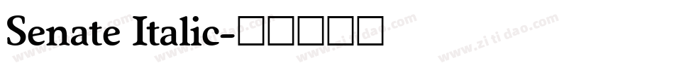 Senate Italic字体转换